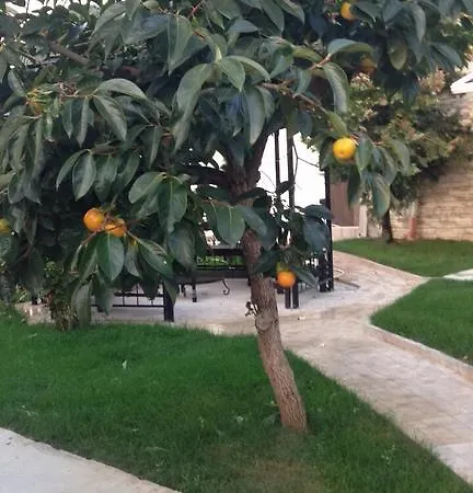 Jurnalist 아파트 *